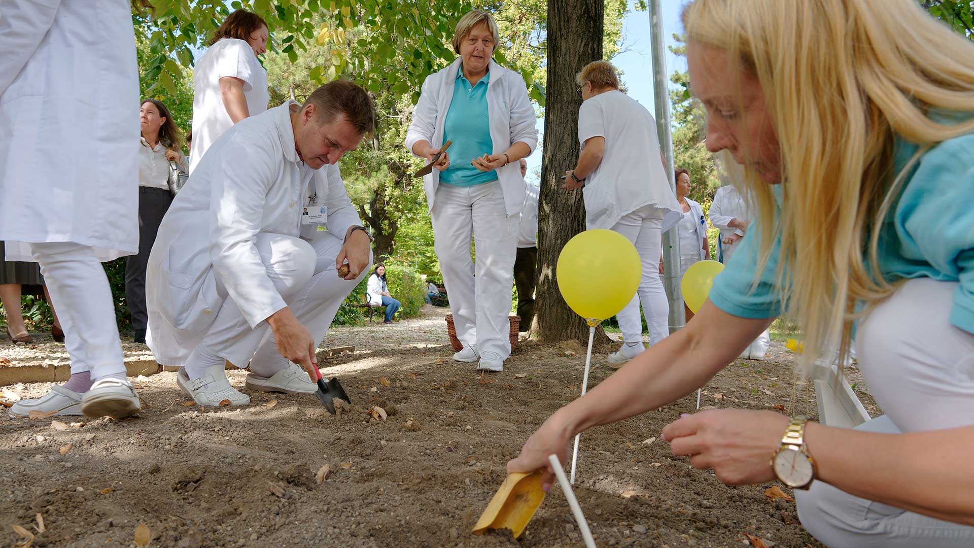 ooi_rehabilitacio_002